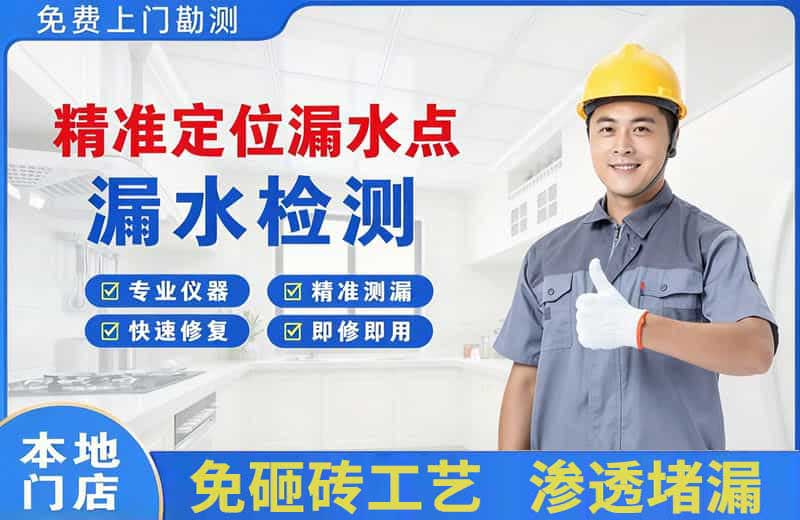 嘉鱼精准测漏点